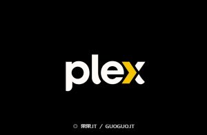 PLEX使用自定义证书域名SSL安全访问